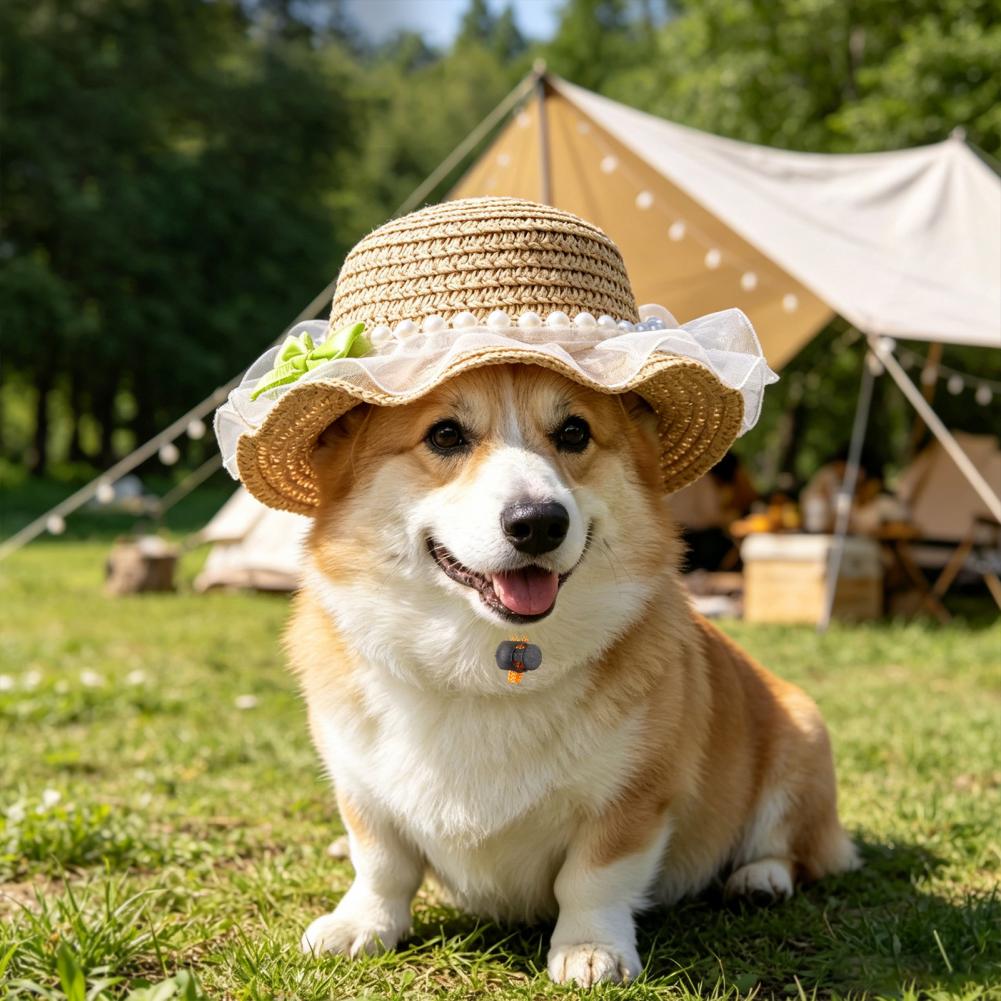 Chapéu para Animais de Estimaç - Straw Hat Summer avaliação e preço