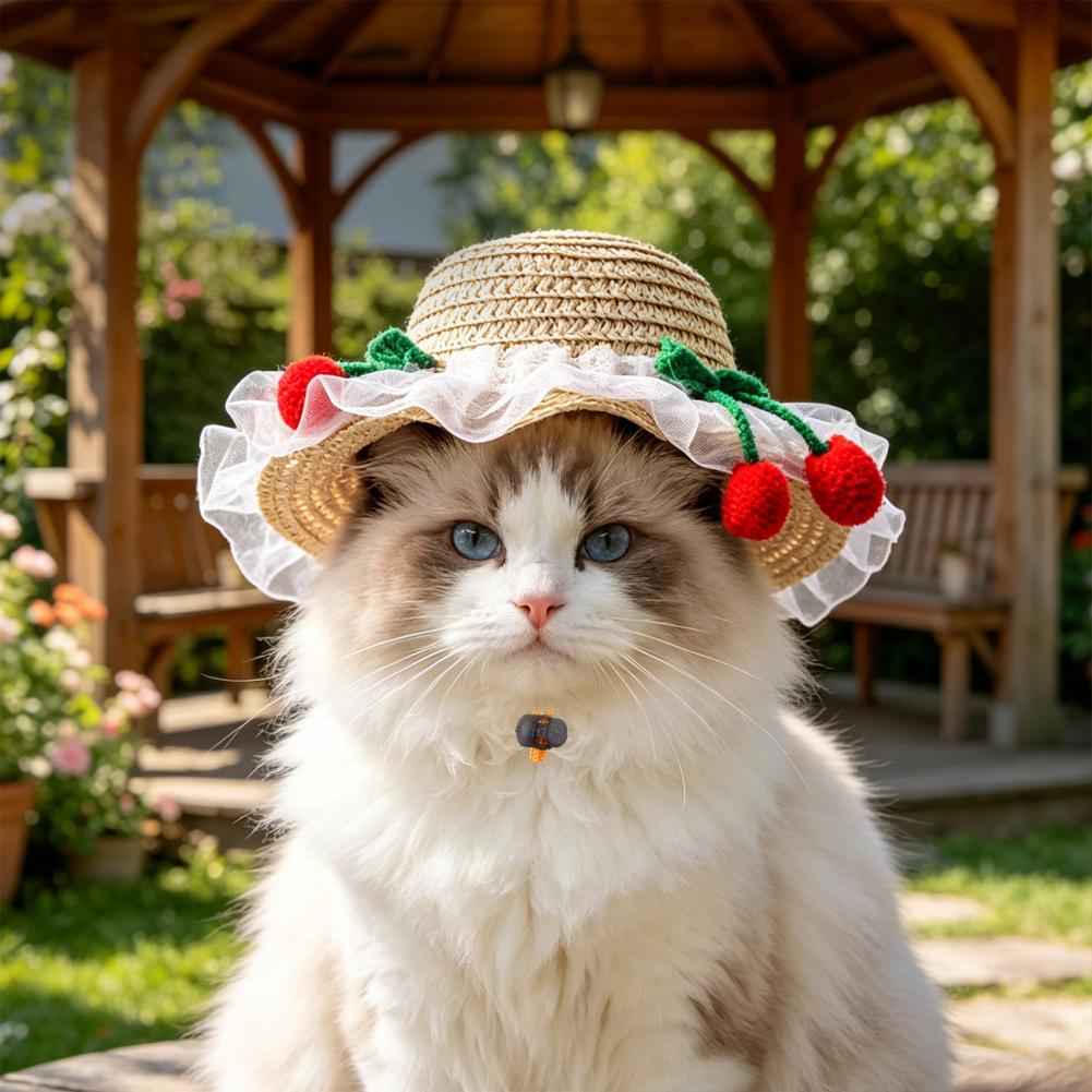 Chapéu para Animais de Estimaç - Straw Hat Summer avaliação e preço