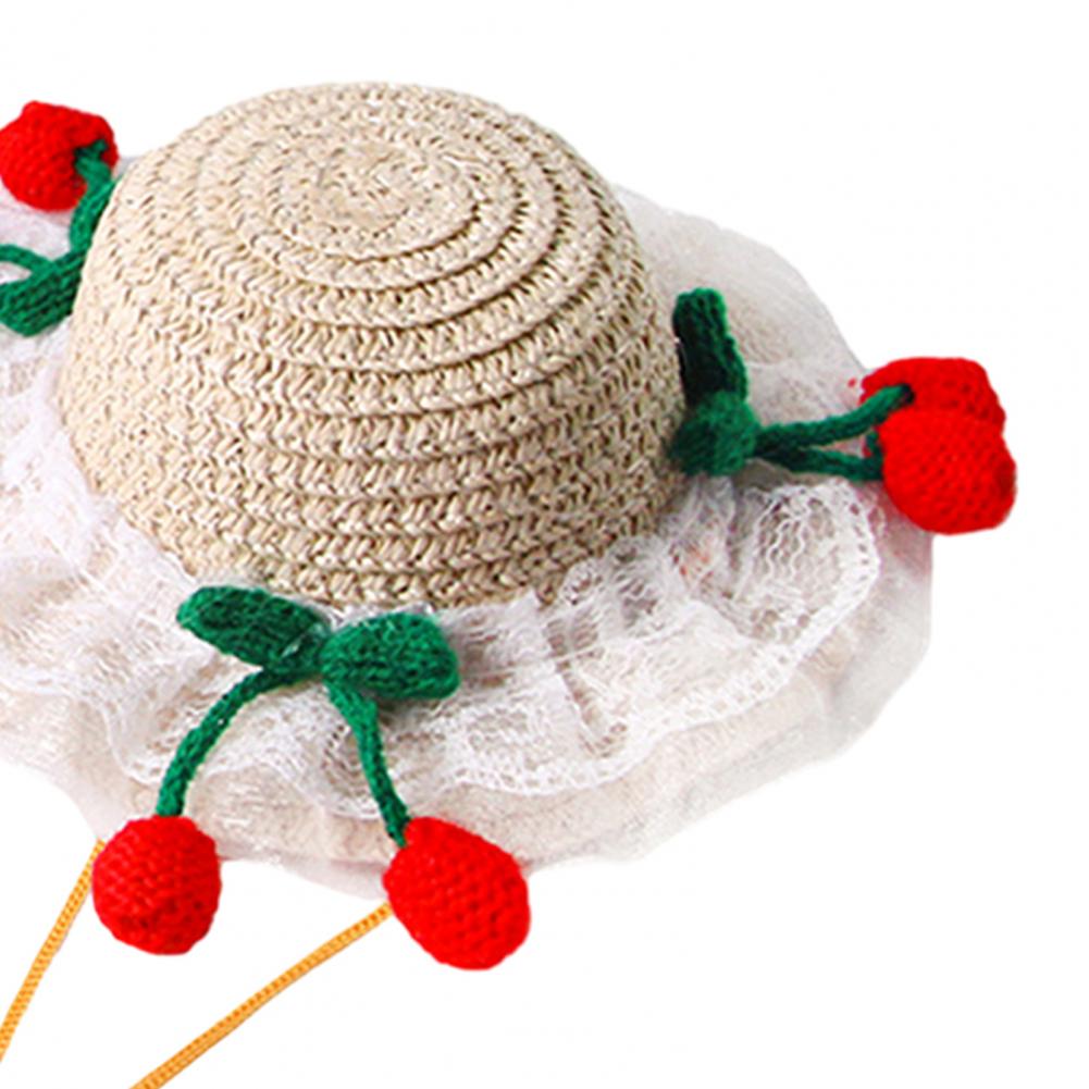 Chapéu para Animais de Estimaç - Straw Hat Summer avaliação e preço